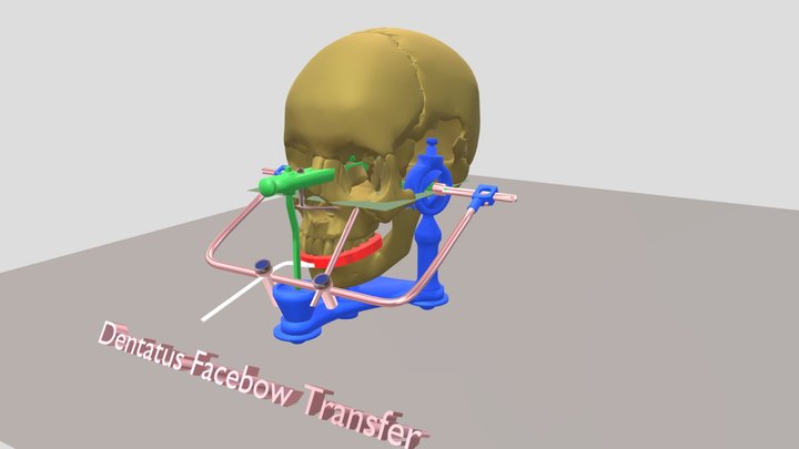 Skull Facebow Articulator 3D Model