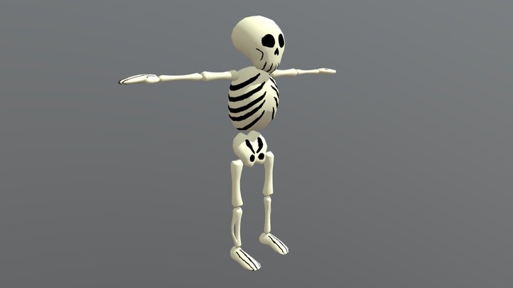 Skeleton 3D Model