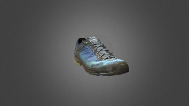 salewa shoe 3D Model