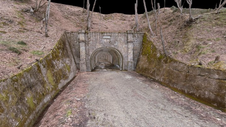 Futatsugoya Tunnel “Abandoned road” japan 3D Model