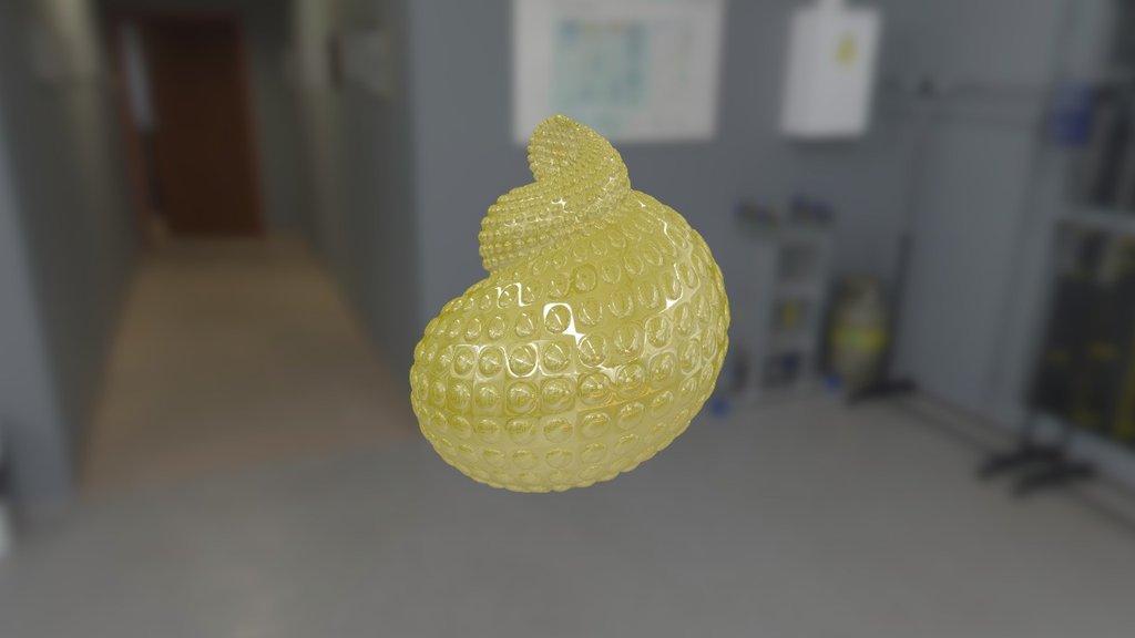 Seashell Model 3 - 3D model by 3DPrinting.atoa (@3d.atoa) [474b0b2 ...