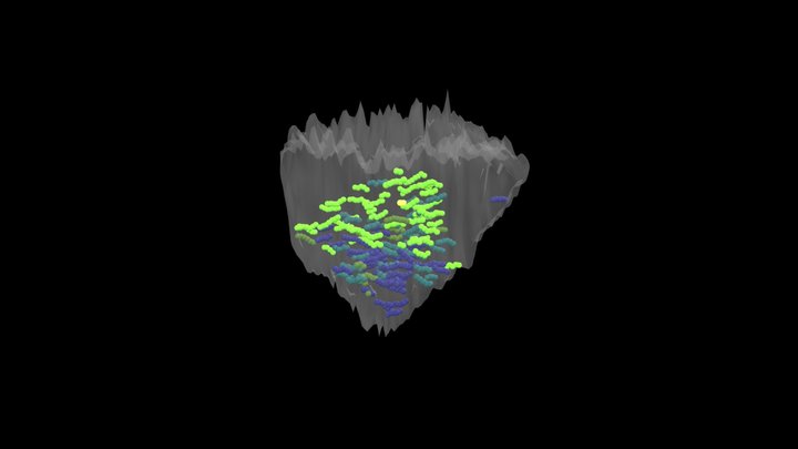 Parent Polyp #4 Caryophyllia huinayensis – Kostenloses 3D-Modell STL