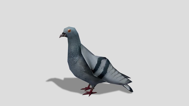 Pigeon – Stylized Animated 3D Model – Modello 3D gratuito STL
