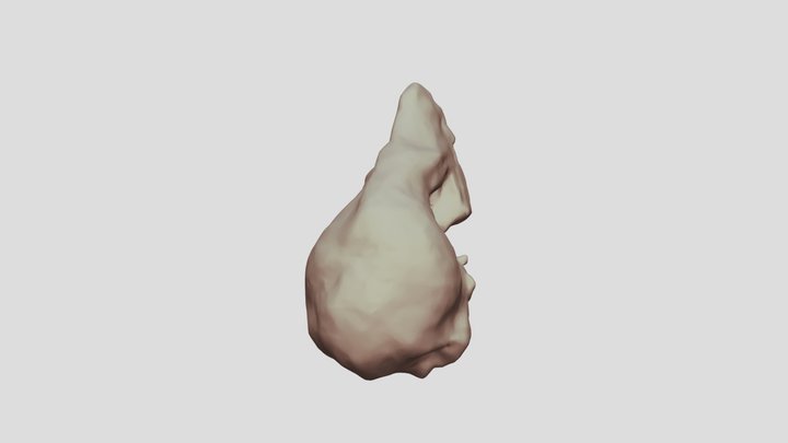 Bat Skull 3D Model