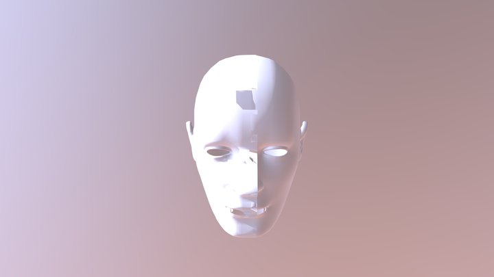 dude... what's that shit on your face? 3D Model