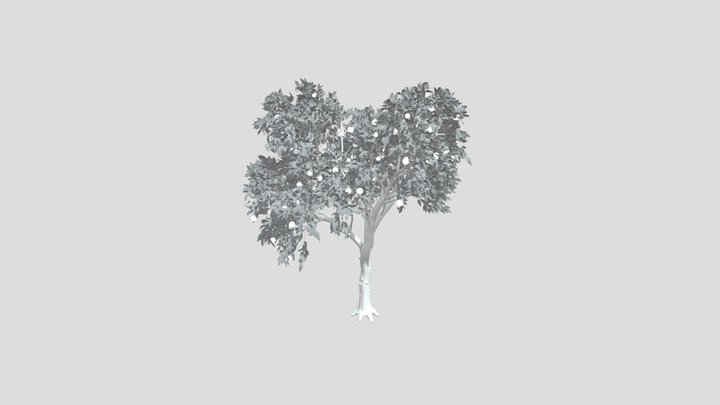 Orange Tree – Gratis 3D-model STL
