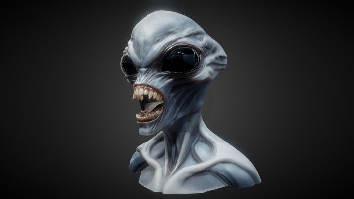 Grey Alien 3D Model