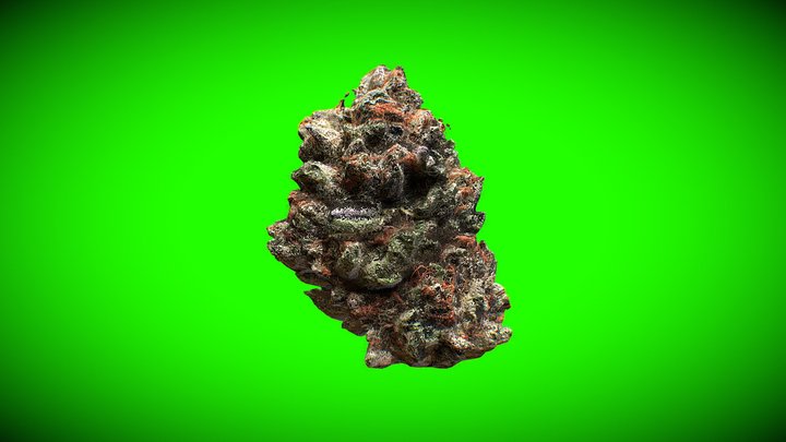 Weed Nugget (1) 3D Model