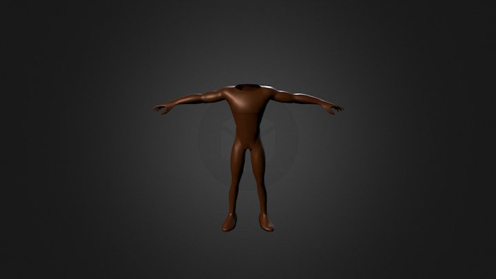 Cuerpo 3D Model