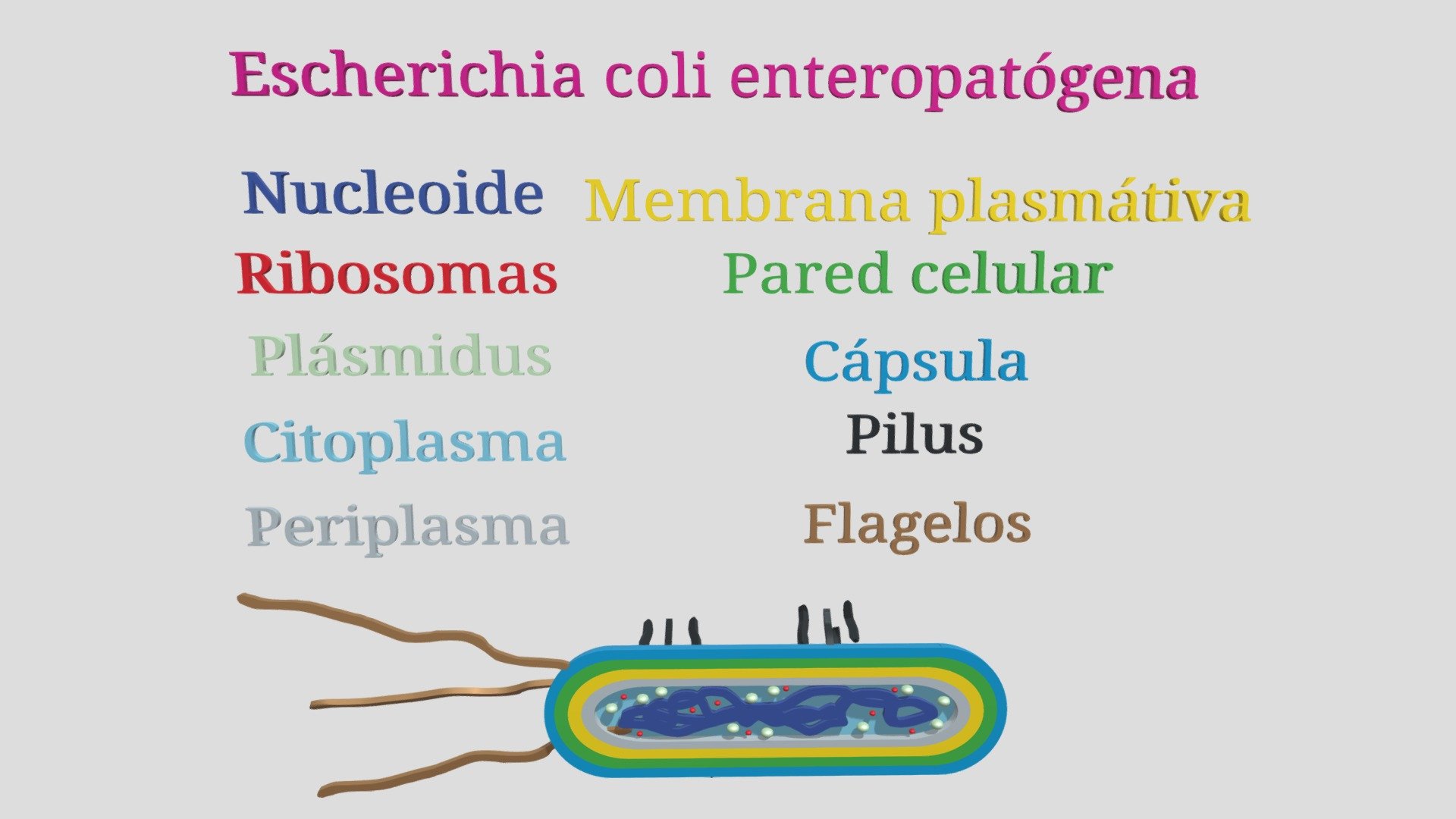 MICROUGHS_E_COLI_ENTEROPATÓGENA_BPA_JPV_LAF