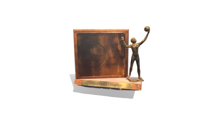 Small scan 3D Model