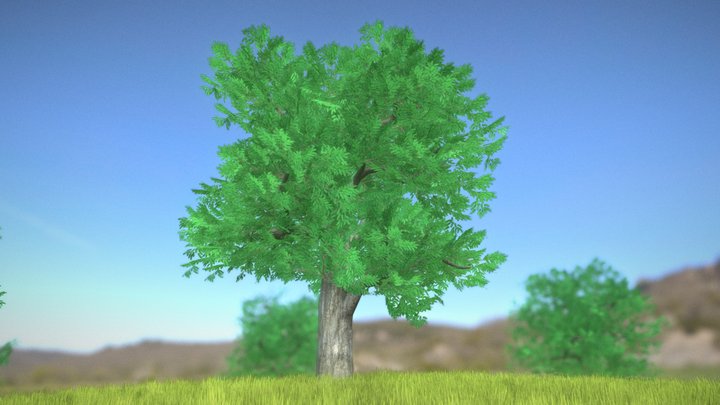 Black Locust Tree (Robinia) - 15m 3D Model