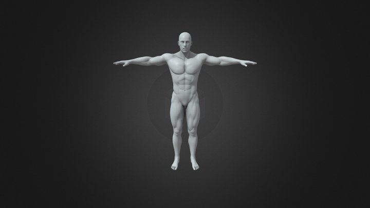 bodybuilder 3D Model