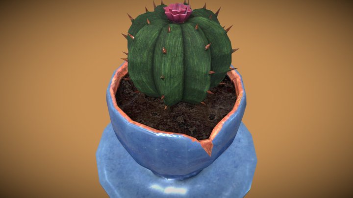 А succulent plant 3D Model