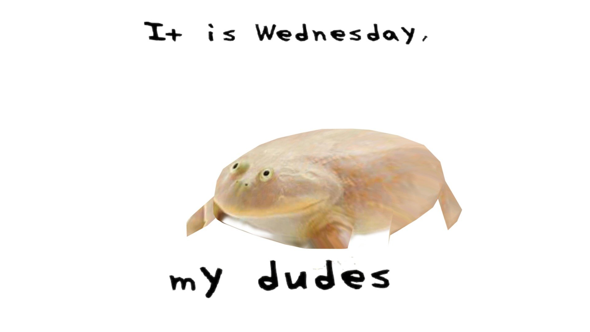 It is wednesday my dudes