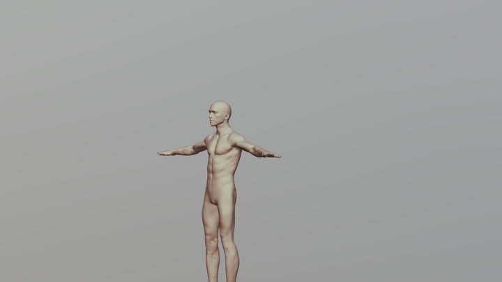 male base model 3D Model