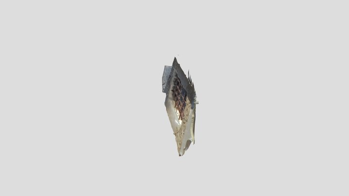 Fereastra Biserica Vulpe 3D Model