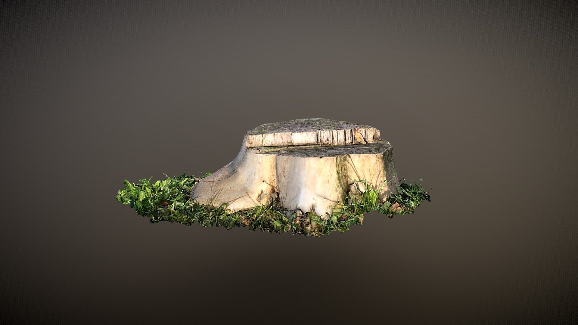 Tree Trunk — Sketchfab embed 3D viewer