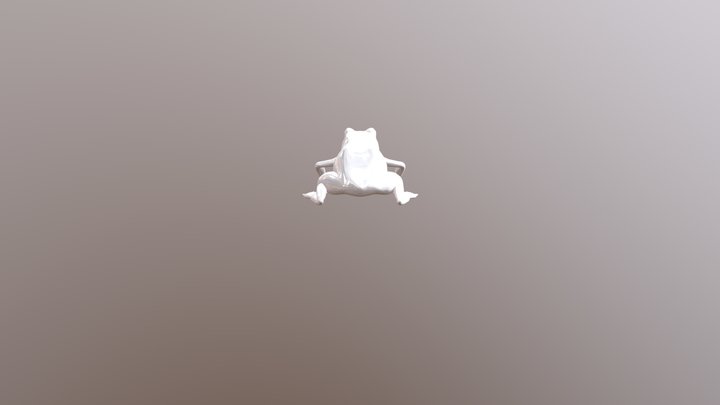 Real Frog 3D Model