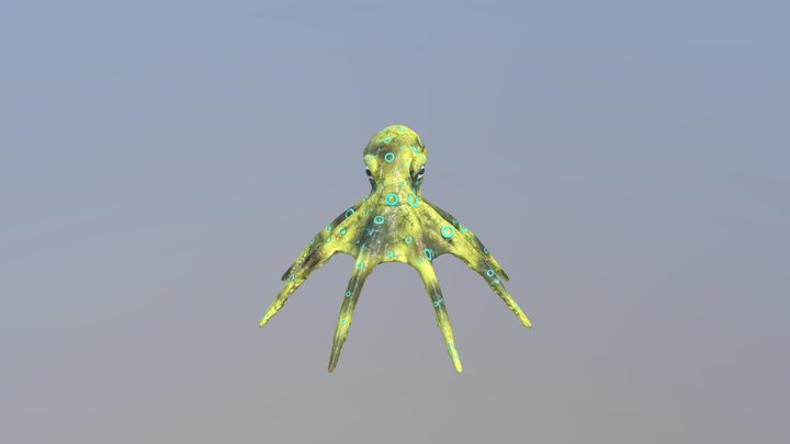 Blue-ringed octopus 3D Model