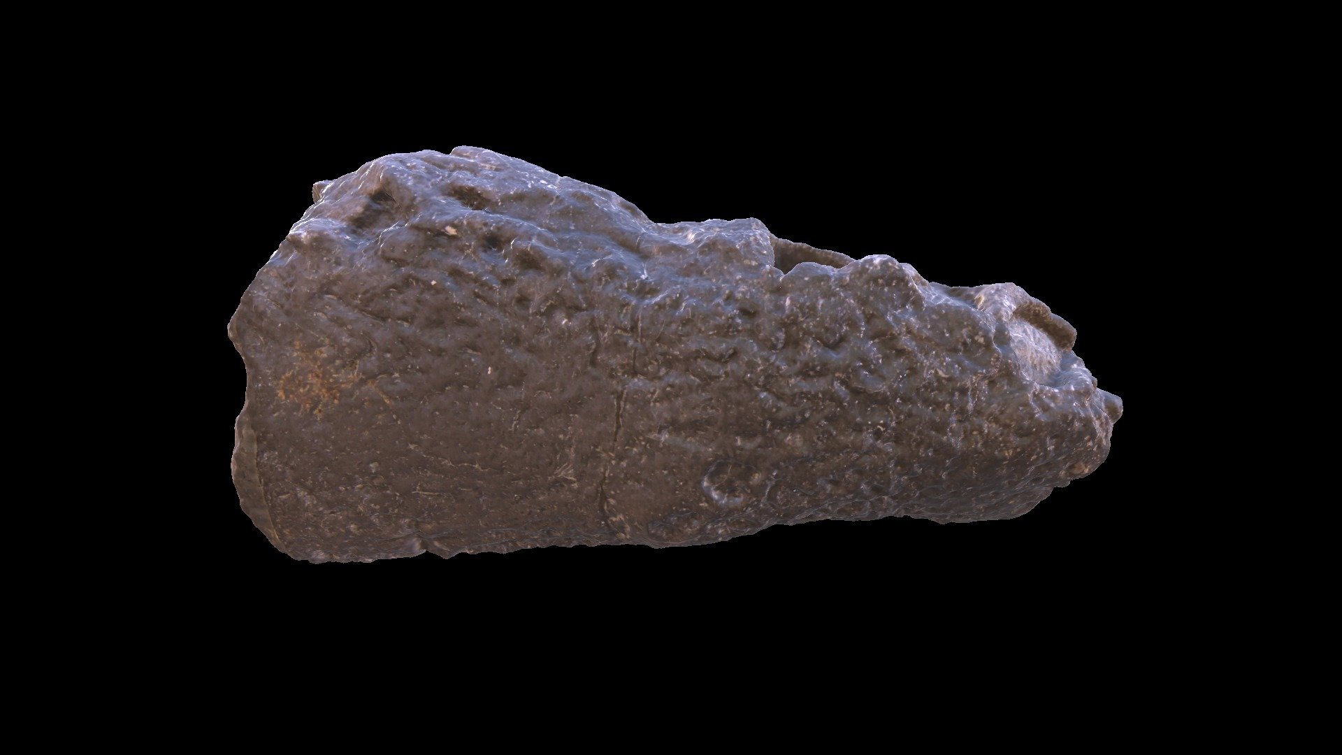 NCSM 29059 Model