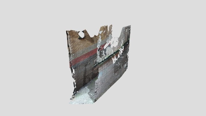 frusciante decimated 3D Model