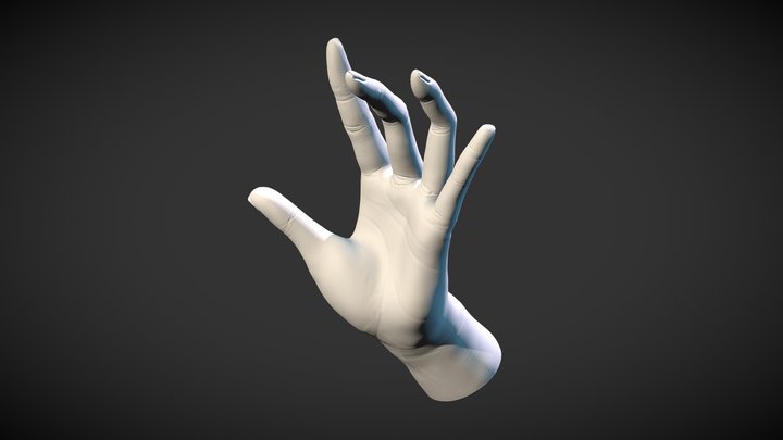 Hand- Long-fingers-L1 3D Model