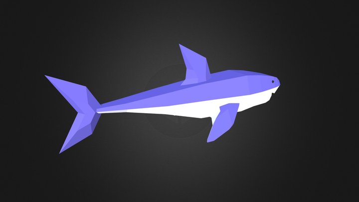 Shark - Low poly 3D Model