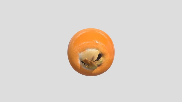 Medlar – Free 3D Model STL