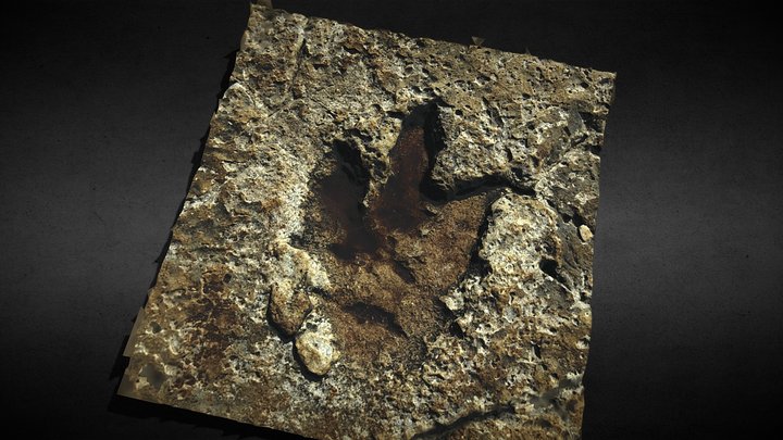 Footprint, Veliki Brijun 3D Model