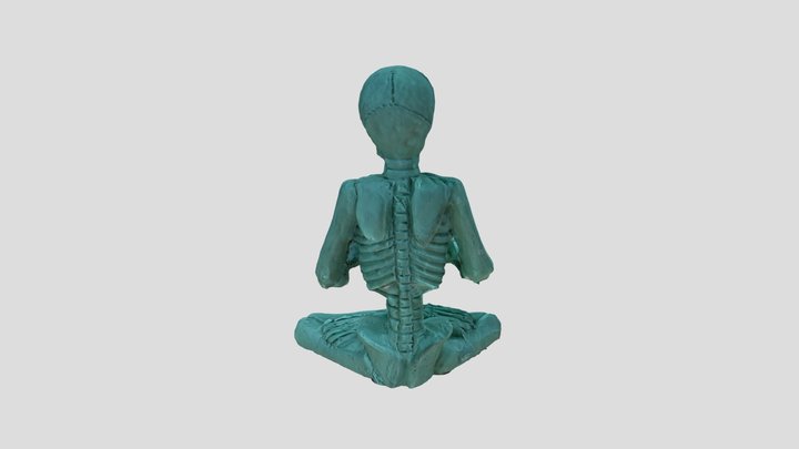 Skeleton22 3D Model