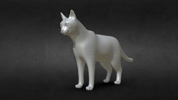 Cat Base Mesh 3D Model