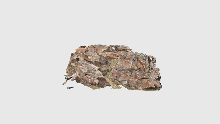 St. David’s Head gabbro 3D Model
