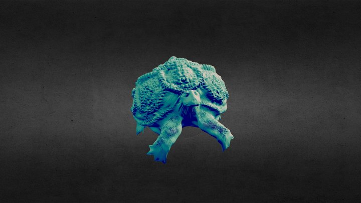 Tartaruga 3D Model