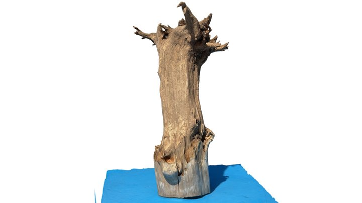 Scan 2023-03-12T02:37:45.629Z 3D Model