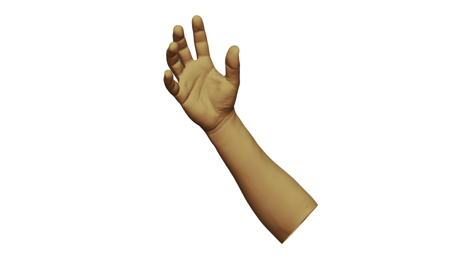 3D model Forearm / Lower-arm / Arm / Hand - This is a 3D model of the Forearm / Lower-arm / Arm / Hand. The 3D model is about a hand with a thumb up.