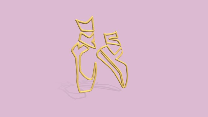 Pointe Shoes