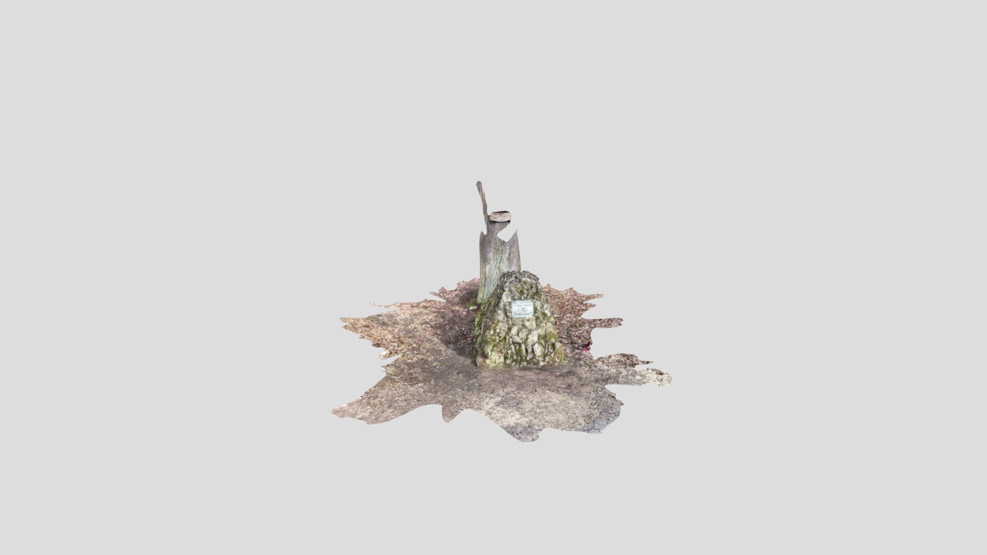 14_ Mar, 1 PM-poly