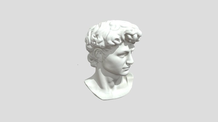David Bust 3D Model