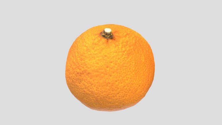 Fresh Orange 3D Model
