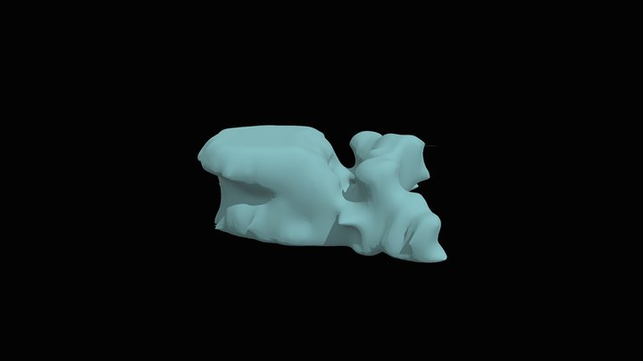 Thoracic Vertebrae 3D Model