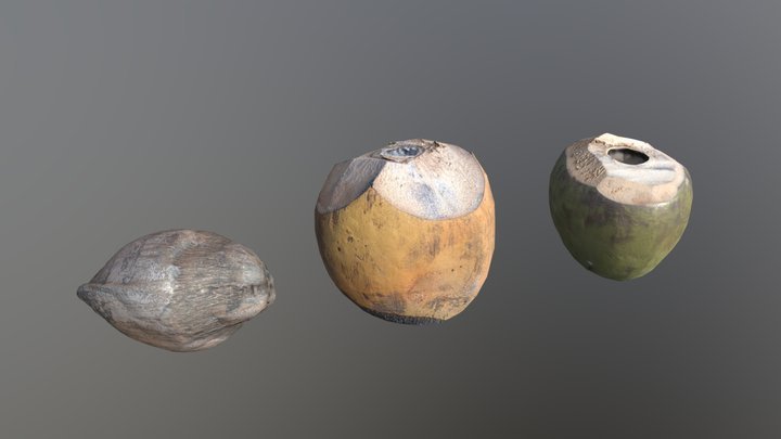 [PACK] Coconuts / Photoscan / Low Poly PBR 3D Model