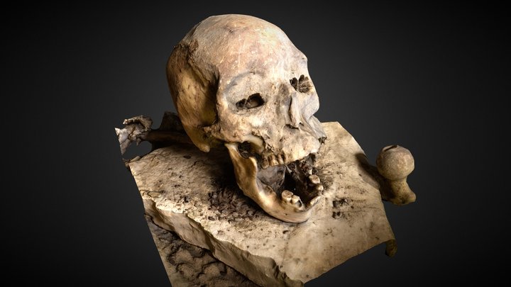 cabeza momificada - diablo wasi 3D Model