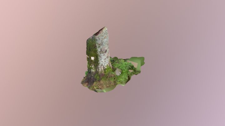 Trä 3D Model