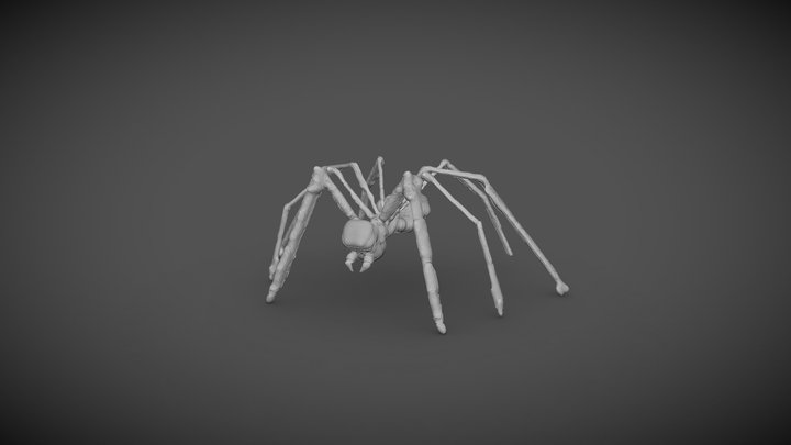 aranha 3D Model