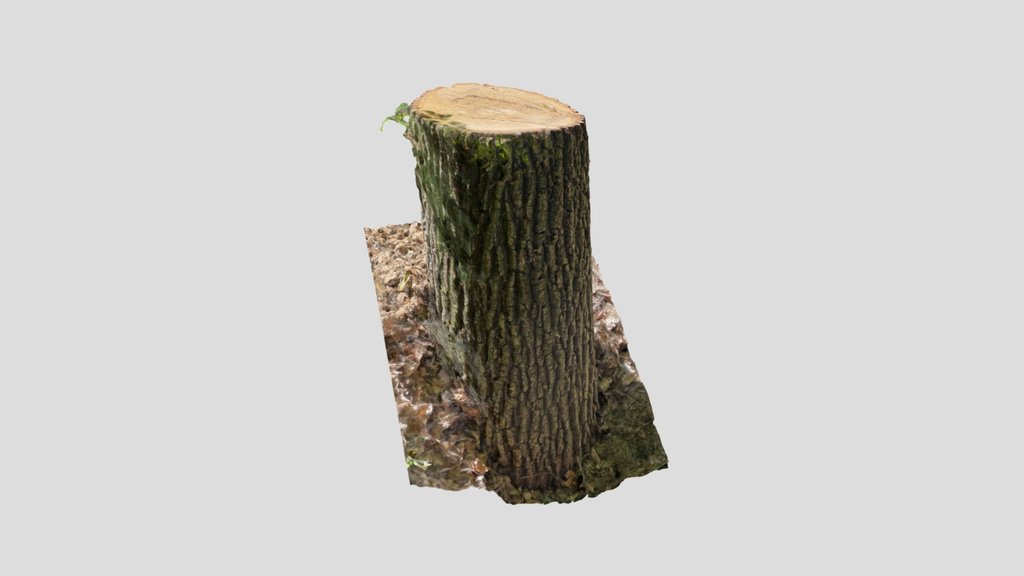 Treestump