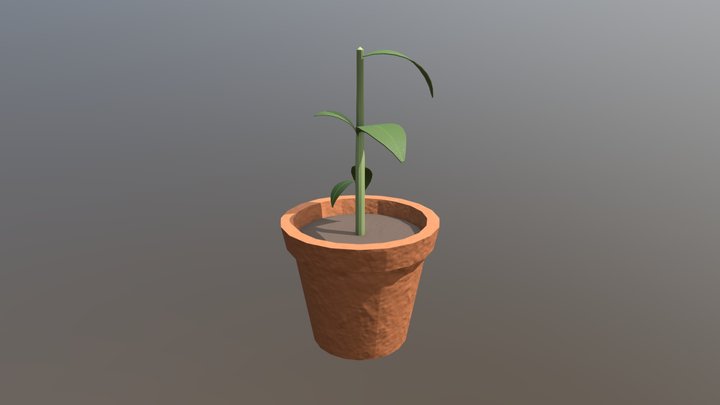 Potted Plant asset 3D Model