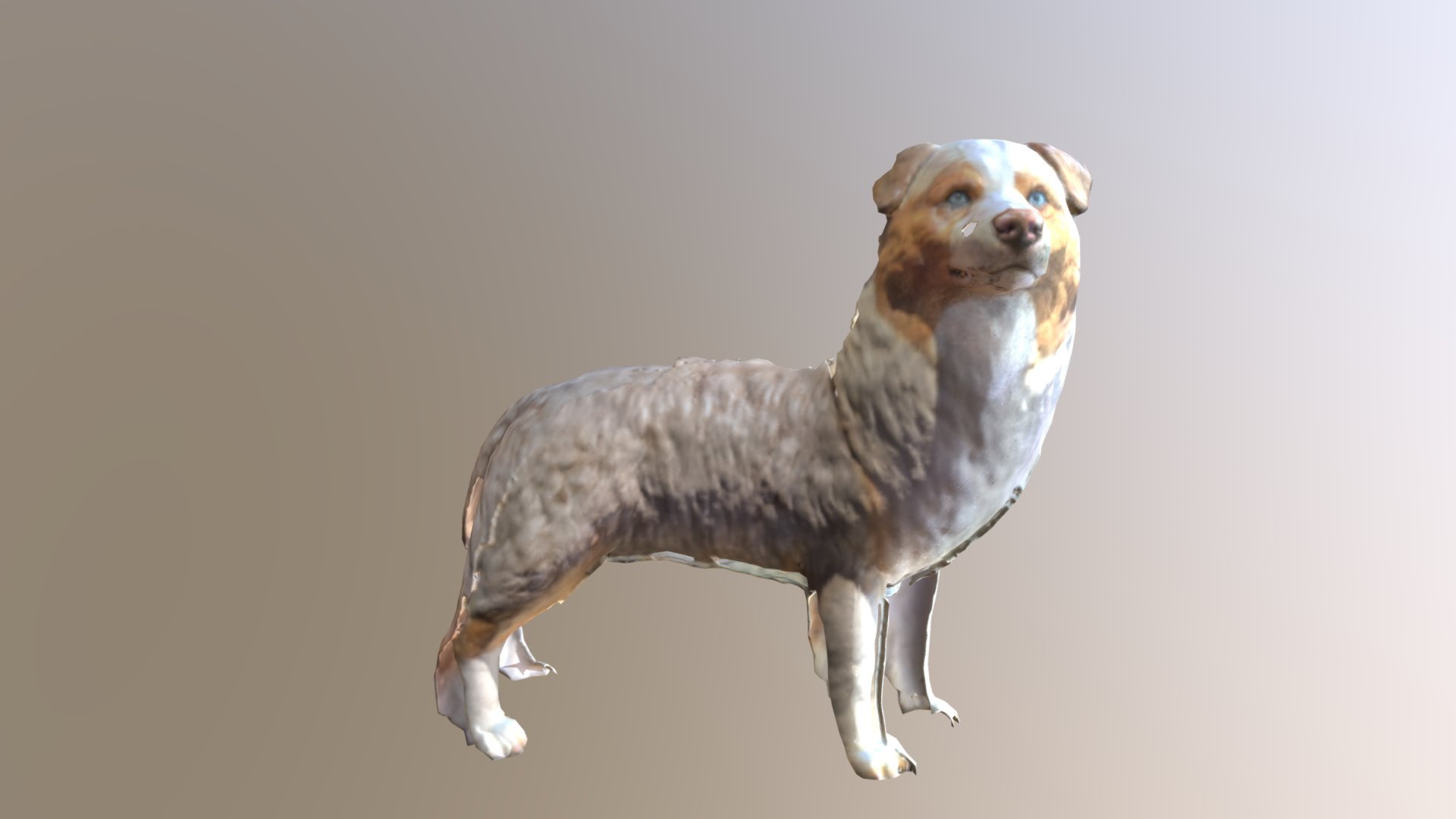Dog 2 (Standing)