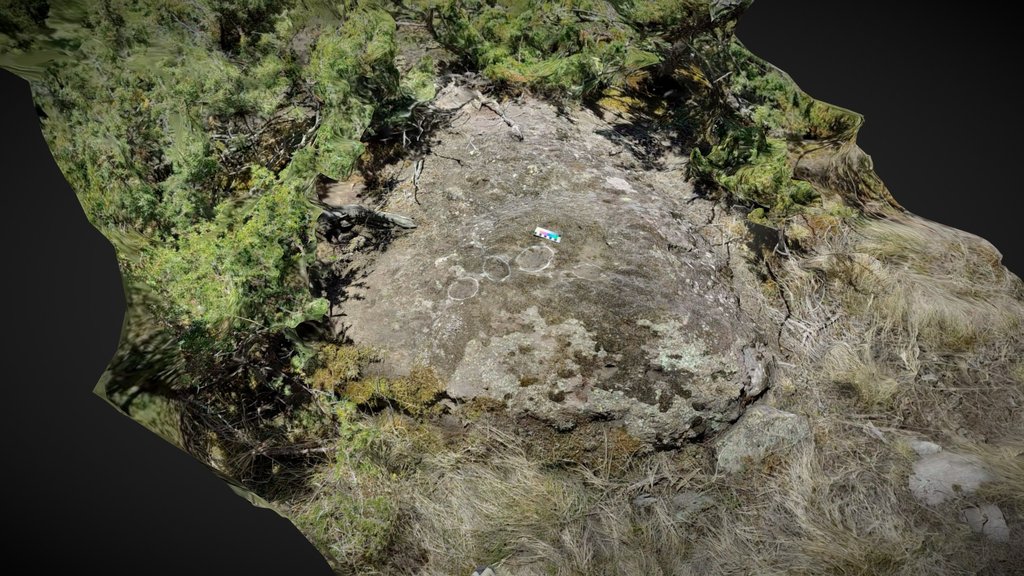D821.07 - Cup marked stone Teis