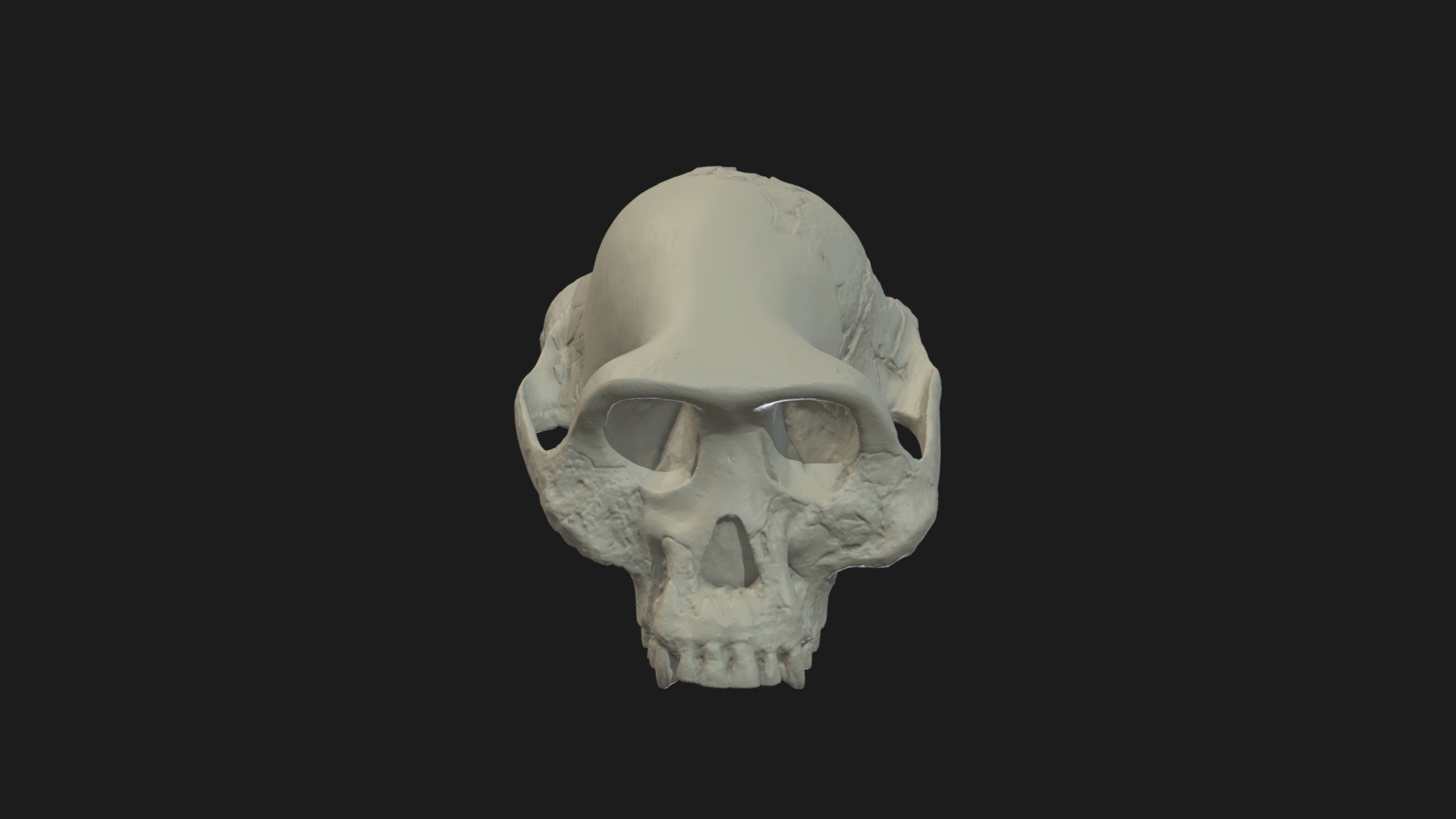 Mystery Hominin A